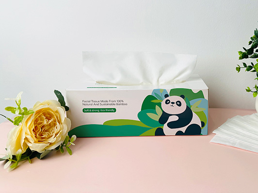 Facial Tissue