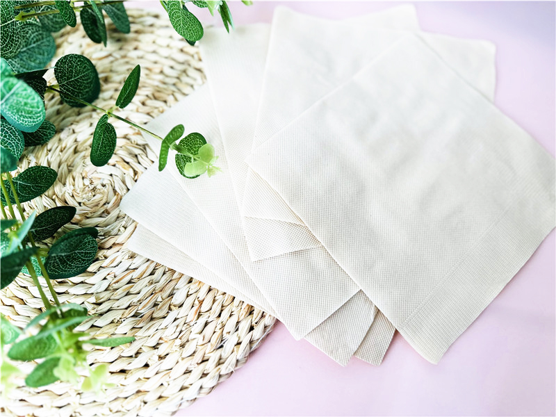 paper napkin